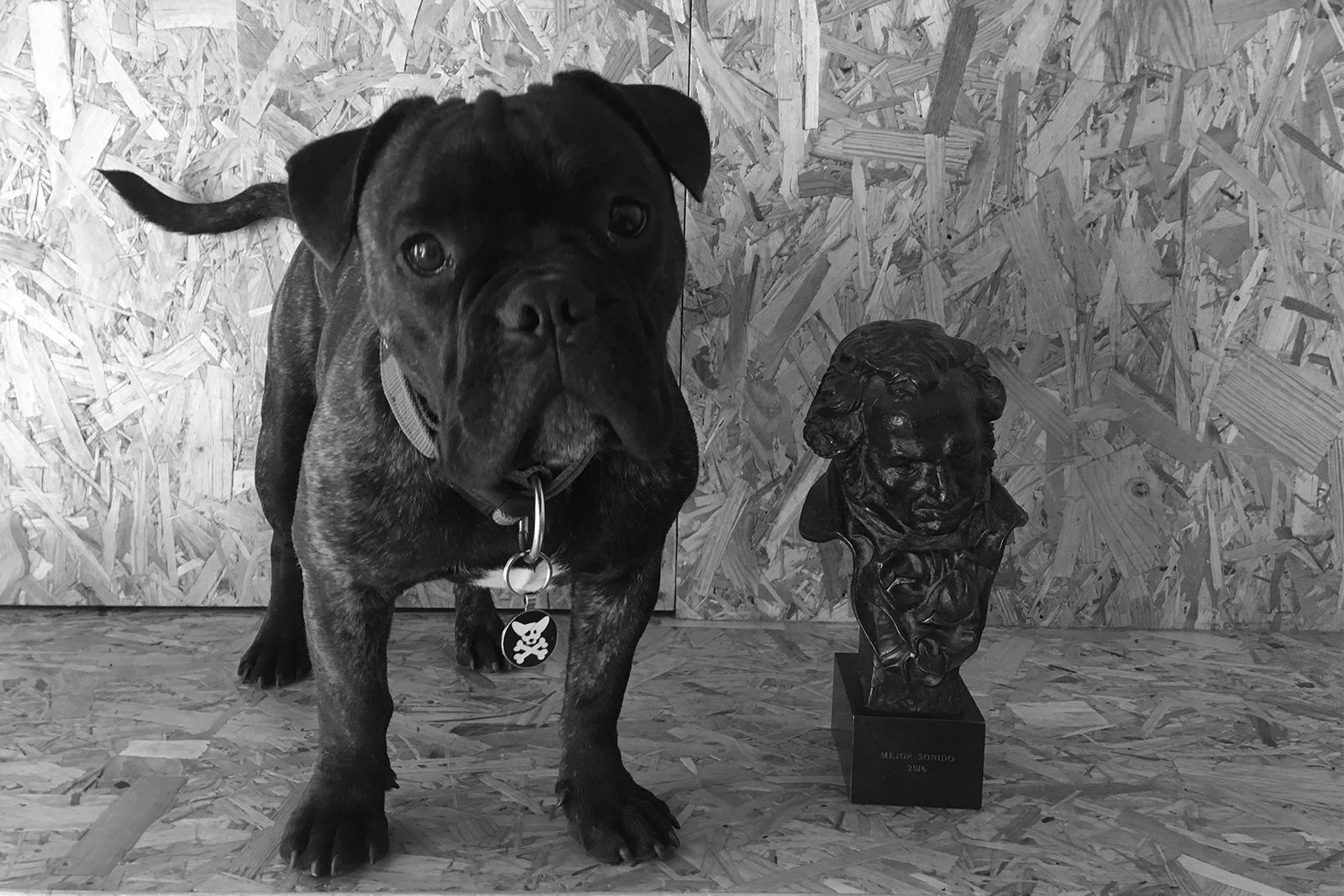 05EDICIÓN DE DIÁLOGOS